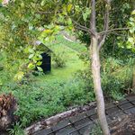 Steven Maynard - @stevenmaynard66 - Instagram
