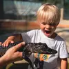 steven.mazepa - @steven.mazepa - TikTok