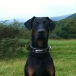 Steve Mcalpine - @mcalpine.steve - Instagram