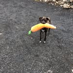 Steven McClay - @mcclay.steven - Instagram