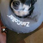 Steven Mccue - @steven.mccue.9 - Instagram
