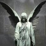 Steven Mcfarlane - @mcfarlanesteven - Instagram