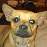 Steve Mcgeorge - @stevemcgeorge - Instagram