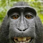 Steven Mcnulty - @s.maccanulty - Instagram