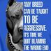 Steven Mcnulty - Facebook