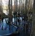 Steve Meads - Facebook