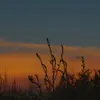 Steven Mecham - @sidekick_productions801 - TikTok