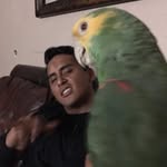 Steven Medrano - @steven_medrano - Instagram