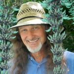 Steven L. Smeltzer / Artist - @stevenlsmeltzer - Instagram