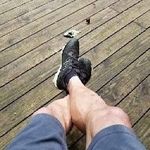Steven Meltzer - @stevengmeltzer - Instagram