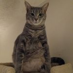 Steven Meltzer - @steven.meltzer - Instagram