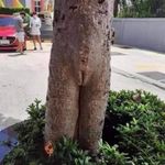 Steven Melzer - @steven.melzer.5249 - Instagram