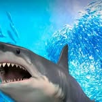 Steven Mendes - @steven2005mendez - Instagram