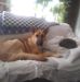 Steve Mentzer - Facebook