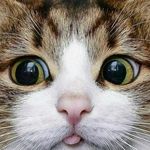Steven mentzer - @stevenmentzer3787 - Instagram