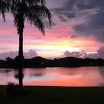 Steve Messerschmidt - @sswingdr - Instagram
