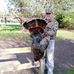 Steve Messerschmidt - Facebook