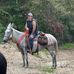 Steve Mulkey - Facebook