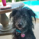 Steve Mifflin - @dudemiff - Instagram