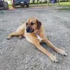 Steve Milstead - @steve.milstead - TikTok