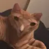 steven minjarez - @stevenminjarez - TikTok