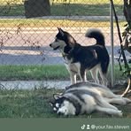 Steven Mink - Facebook