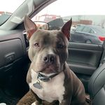 Steven Mitchem - @steven.mitchem - Instagram