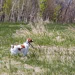 Steve Mitzel - @steve.mitzel.52 - Instagram