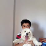 Steven Amoun Michel - Facebook