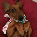 Steven Mize - @steven.mize.52 - Instagram