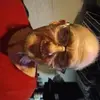 stevenmize595 - @stevenmize595 - TikTok