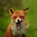 Steven Moldenhauer - @moldenhauersteven - Instagram