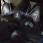 𝓢𝓽𝓮𝓿𝓮𝓷 - @steven_monge.12 - Instagram