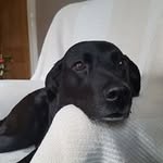 Steven Moores - @steven.moores.165 - Instagram