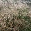 Steven Moores - @stevenmoores - TikTok