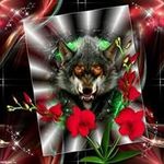 Steve Moorhead - @moorheadsteve - Instagram