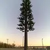 StevenMoshierMacGyver5149 - @stevenmoshiermacgyver1 - TikTok