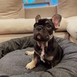 Steven Mount - @_steven_mount - Instagram