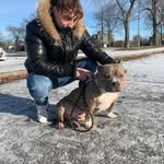 Steven Mountakis - @stevenmountakis - Instagram