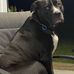 Steven Muchow - Facebook