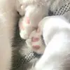 stevenmunevar991 - @stevenmunevar991 - TikTok