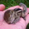 steven_munson - @steven_munson - TikTok