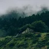 StevenMunson9619 - @stevenmunson9619 - TikTok