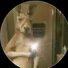Steven Murillo - @steven.murillo51 - TikTok