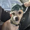 Steven Murphy - @steven.murphy3 - TikTok