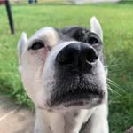 Steve Musick - @smudick1 - Instagram