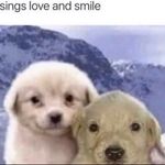 steven nation - @stringbe.an - Instagram