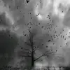 Steven Nation - @stevennation_6168 - TikTok