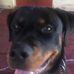 Steve Nease - Facebook