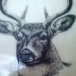Steven Neely - @steven_neely1234 - Instagram